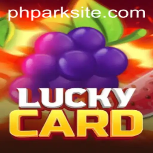 Exploring LuckyCard: A New Entrant in the World of Card Games